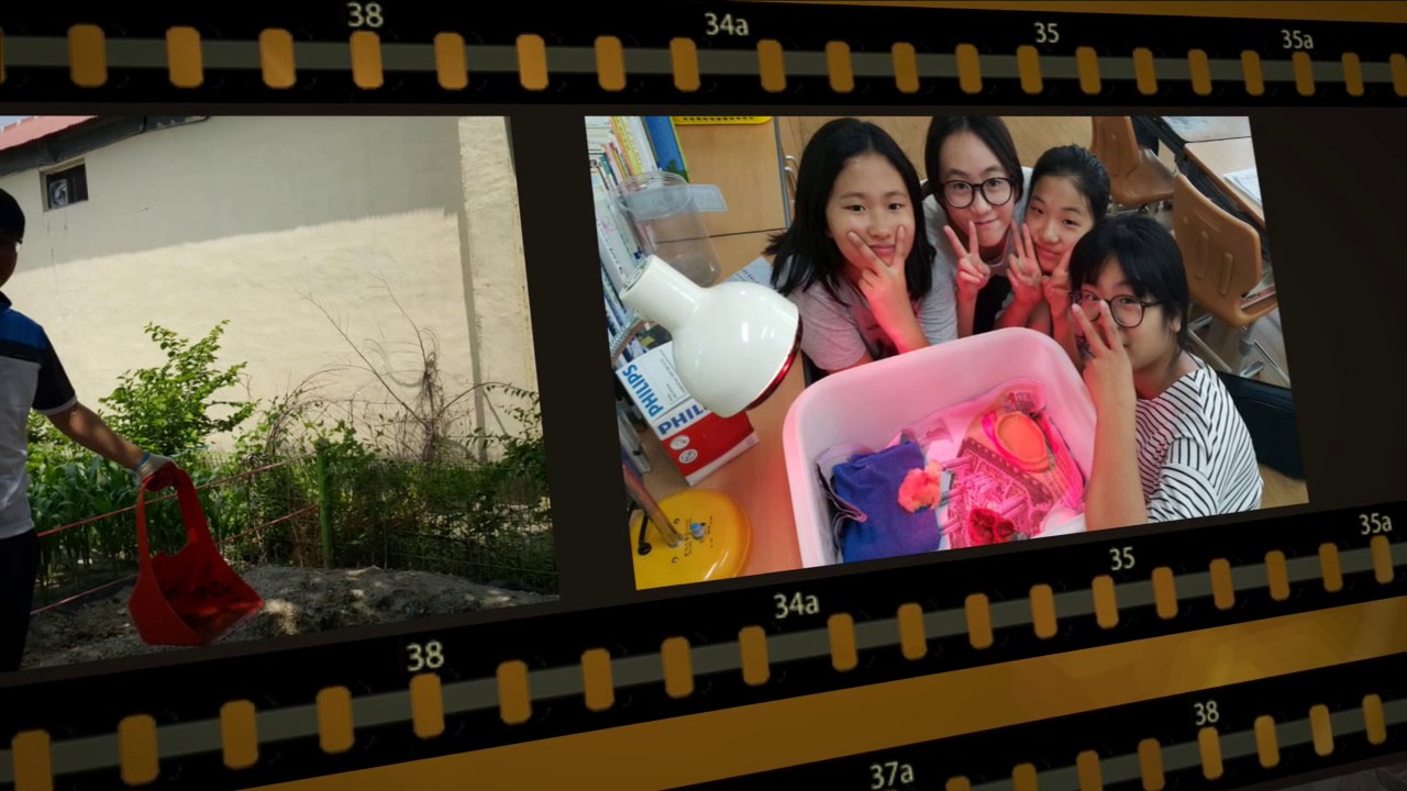 2016 삼례동초 졸업식 영상