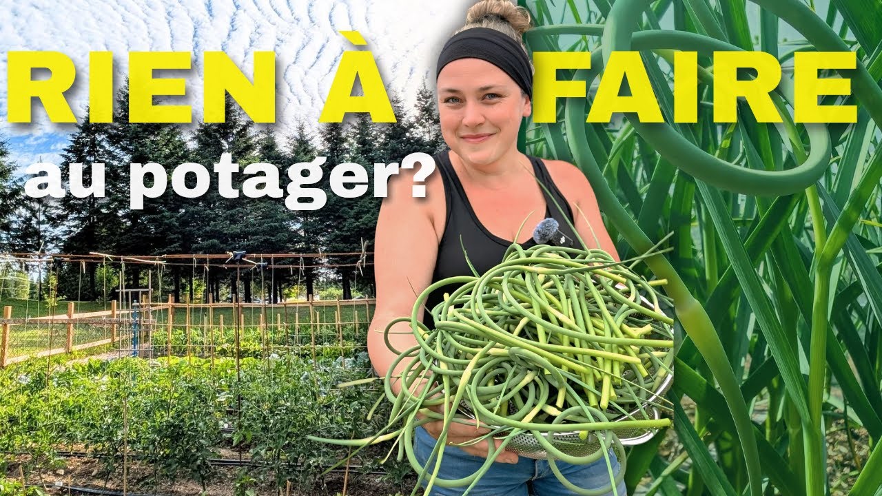 PREMIÈRES RÉCOLTES, entretien des plants et présentation de la SERRE!