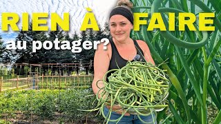 PREMIÈRES RÉCOLTES, entretien des plants et présentation de la SERRE!