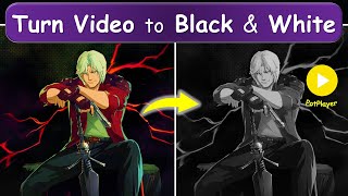 Change Video Color to black & white in PotPlayer