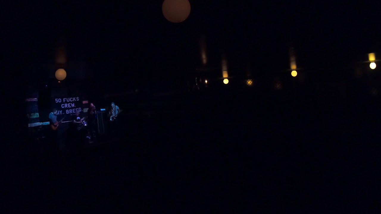 DIYing Breed, Part 2 - Sixty Sixth Congress, BK, NY.  3/8/20