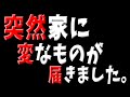 【身に覚えのない】謎の物体が家に届きました…【荷物】