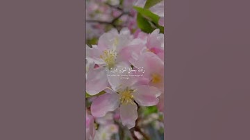 part 16 | سورة النور الایة {35-37} القارئ محمد اللحیدان #قرآن #محمد_اللحيدان #قران_كريم