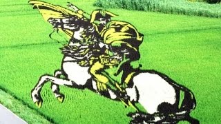 Small Japanese Village Turns Rice Paddies into Awe Inspiring Works of Art
Inakadate village, located near Hirosaki city in Japan’s Aomori prefecture, is one of the few places in the world where farming and art go hand-in-hand. The village is renowned for its unique form of landscape art created in paddy fields. These artistic paddies are so popular that they attract over 200,000 tourists a year.
For centuries, farming has been the main source of income for the people of Inakadate. The amount of farmland available to the relatively small population of 8,000 villagers is massive. Paddy fields make up over fifty percent of the entire village land. The soil in these lands is so fertile that the yield from the rice crop has consistently been higher than any other village or town in Japan.
In the early 1990s, archeologists discovered that the rice strains of Inakadate were over 2,000 years old. To celebrate this fact, and to make the village more attractive to visitors, the local tourism office hatched a plan – to make use of their abundant production of rice to attract more tourists. And that’s how their amazing rice paddy artworks were born. Small Japanese Village Turns Rice Paddies into Awe Inspiring Works of Art