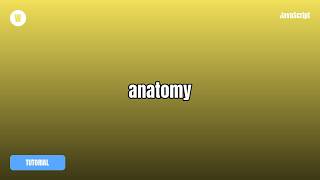 anatomy Tutorial — What It Is & How To Use It Guide