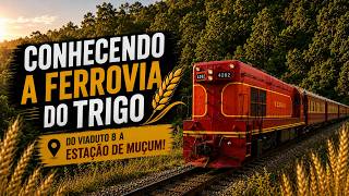 CONHECENDO A FERROVIA DO TRIGO! Do Viaduto 8 a Estação Ferroviária de Muçum no interior gaúcho!