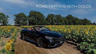 Road Tripping with Dolce: Farm, Food and Fun