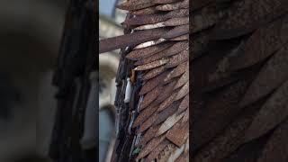 The Knife Angel in #bradford | #film #uk #sad #art #vlog #fypシ #photography