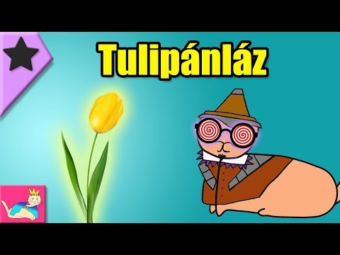 Videó: Milyen Színű A Tulipán