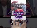 ماشاءاللہ نیو بازی داند علی دا نوکر بمقابلہ داند سلطان Foryou Viral Millionaire Bull Shorts