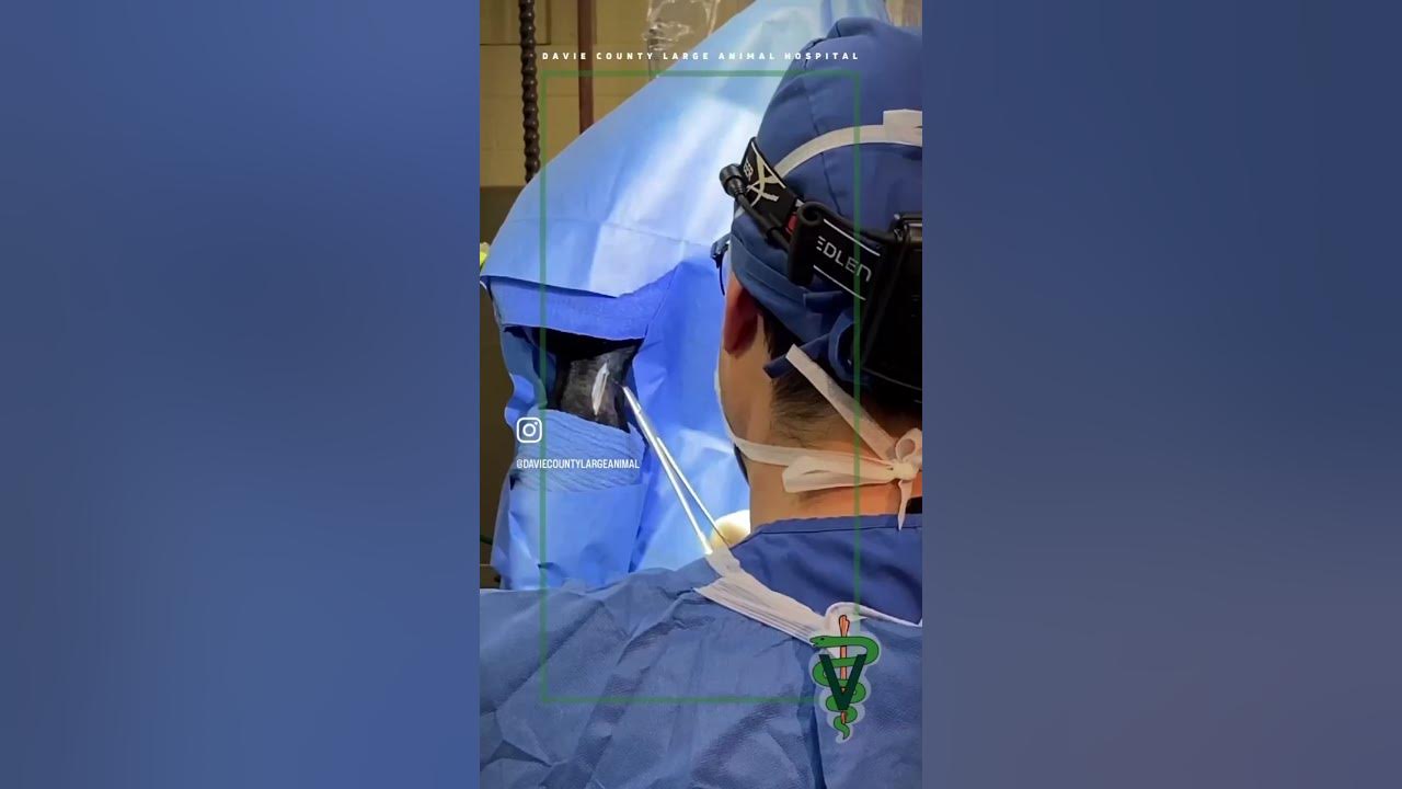 Neurectomy Surgery YouTube