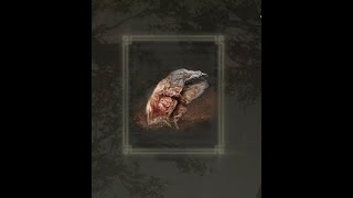 Elden Ring - Aeonian Butterfly Farm Quick & Easy (Haligtree)
