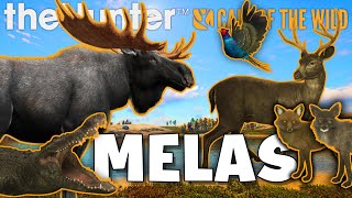 MOST INSANE MELAS in Call of the Wild!!!