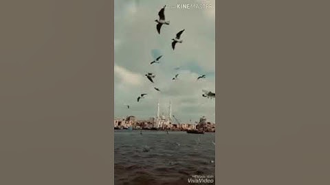 سورة النساء ١١٩
