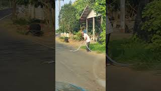 Snake Slithering Towards Man As He Water's Plants