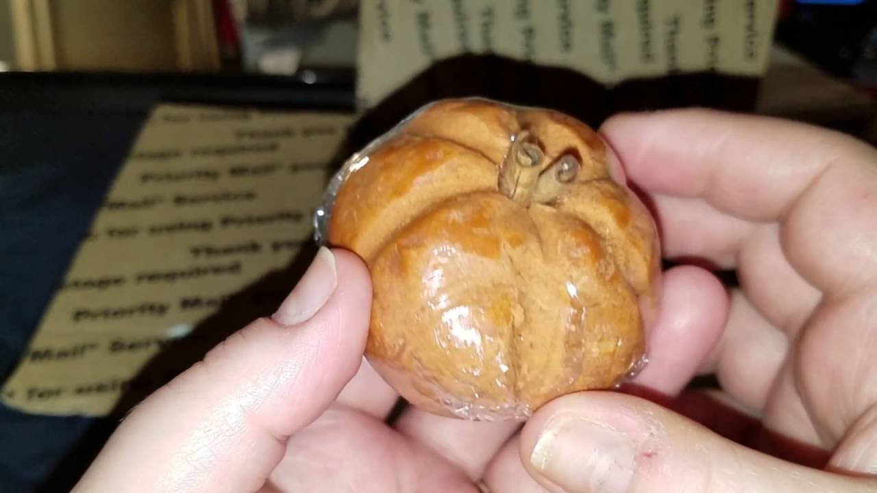 YOURS TRULY JADEN HAUL FALL LINE ITEMS