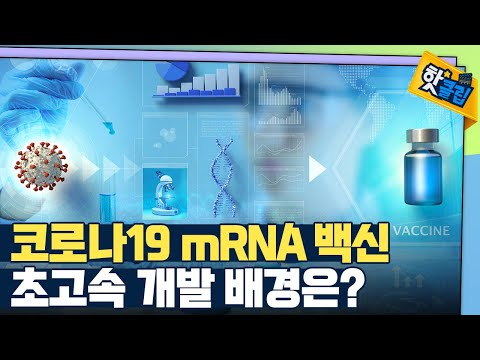 [핫클립] <strong>mRNA</strong> 백신의 원리  / YTN 사이언스