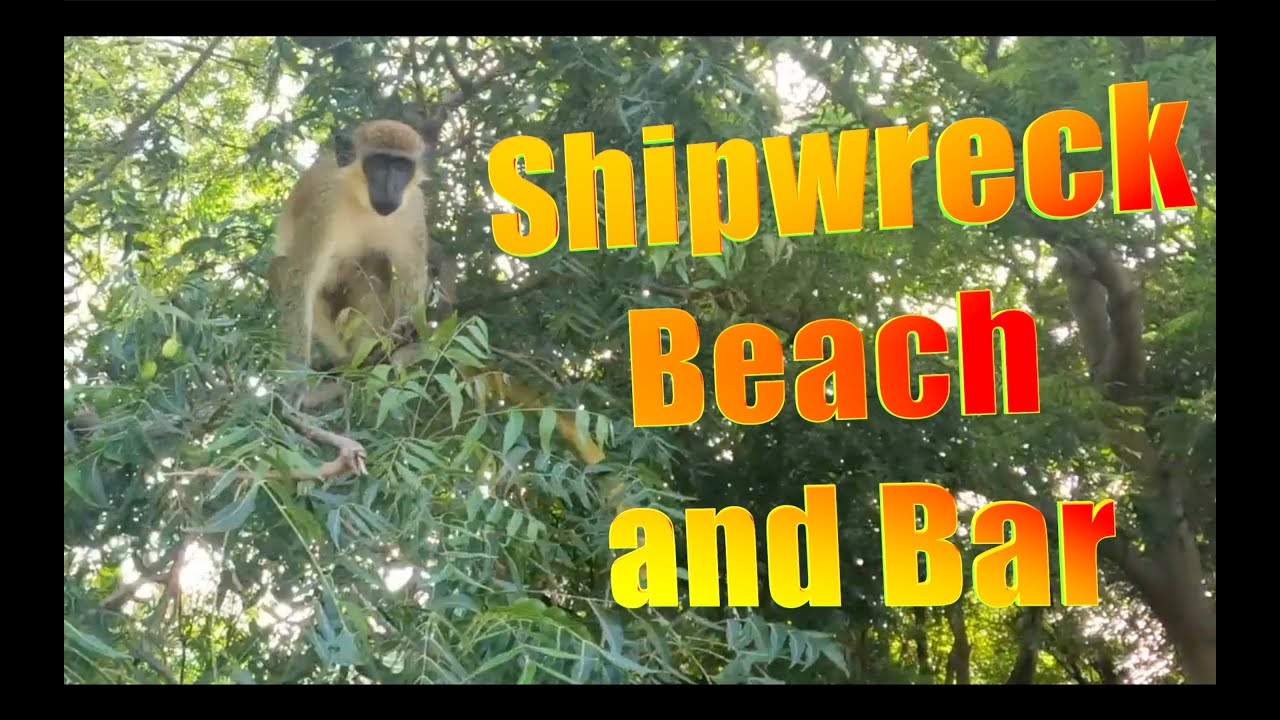 Sip and Stroll: St. Kitts' Shipwreck Bar & Caribbean Beach Getaway Walk Through