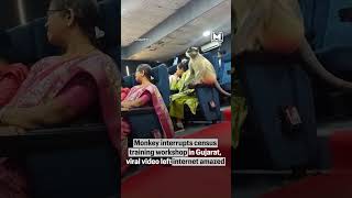 Census training session for teachers in Gujarat turned memorable after monkey walked into classroom