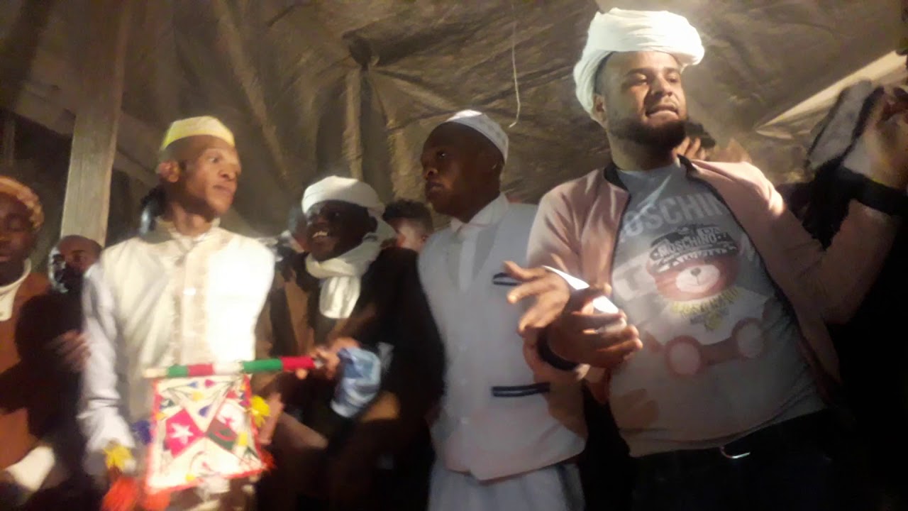 دائما مع جديد حميدة نخلة 2022