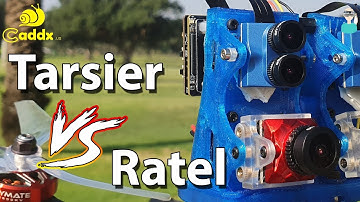 Caddx Tarsier - FPV Comparison With Ratel