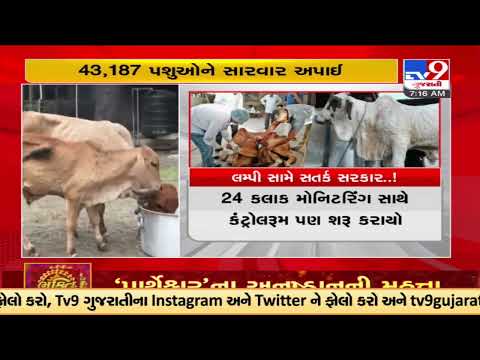 Gujarat government on toes over rising cases of lumpy virus in the state |TV9GujaratiNews