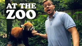 PITTSBURGH DAD AT THE ZOO