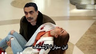 مسلسل طائر الرفراف الحلقة 36 والأخيرة