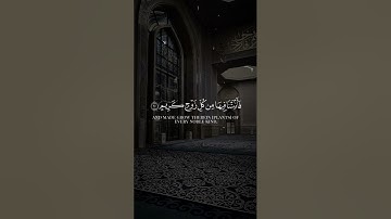 تلاوه خاشعه للشيخ ياسر الدوسري #قرآن #ياسر_الدوسري #قران_كريم