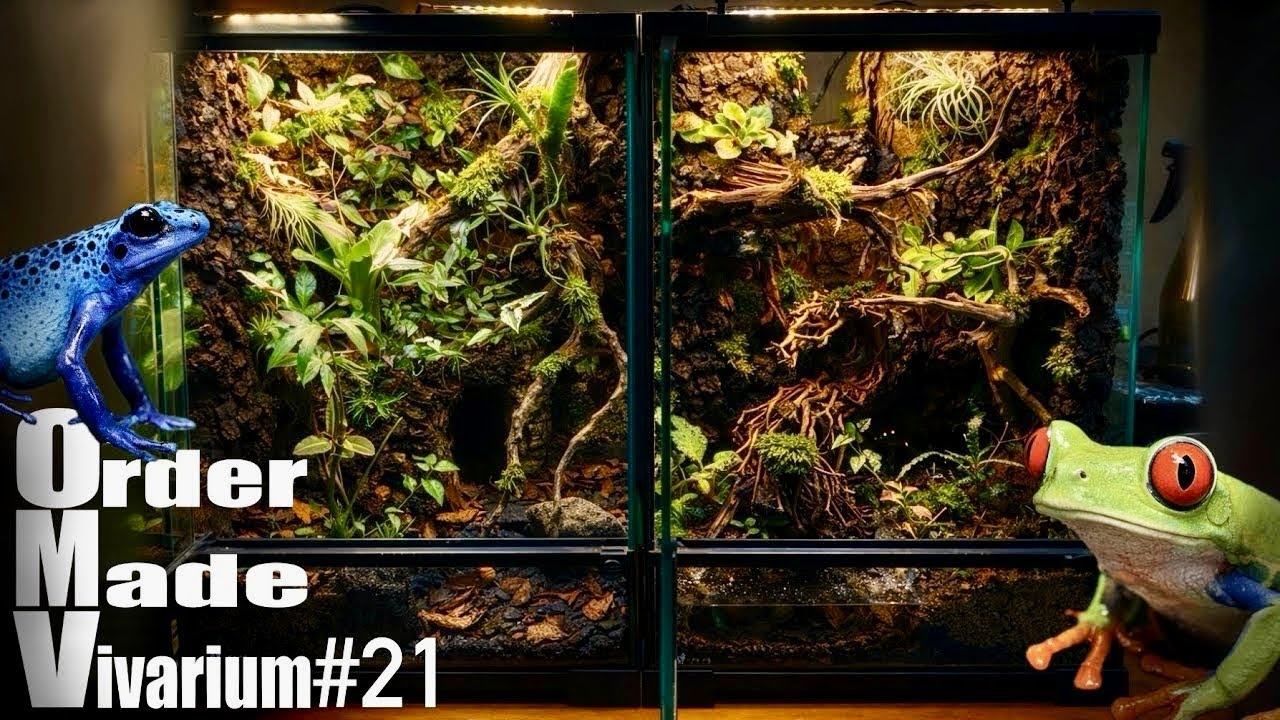 滝と霧。２つの熱帯雨林を１から作ってみた。