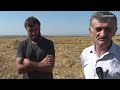Уборка яровых зерновых культур в КФХ "Мусаев"