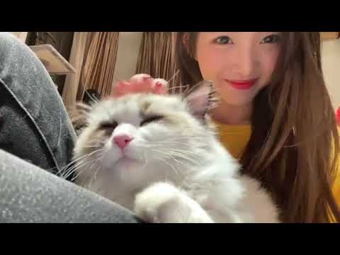 [OPV]เนเน่ {Nene郑乃馨} | รักไม่ต้องการเวลา