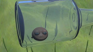 Competitive Exclusion Principle