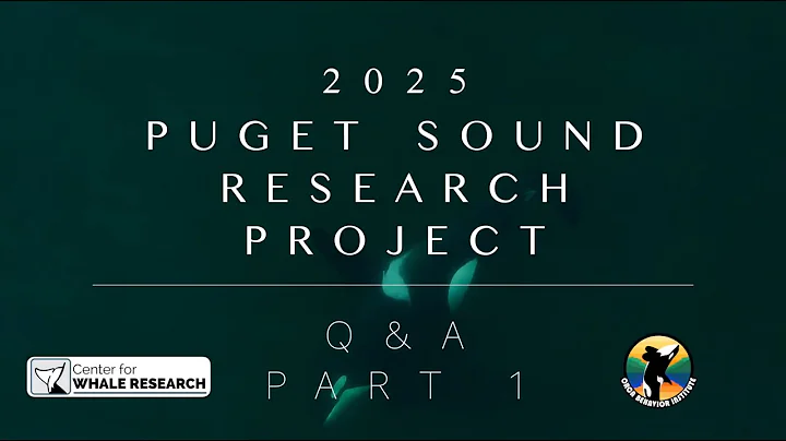 2025 Puget Sound Research Project Q&A  (Part 1) | Southern Resident Orcas
