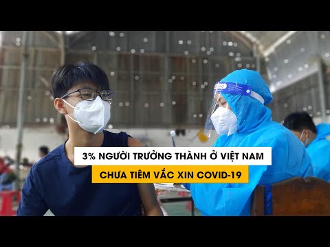 Video Khoảng 3% người trưởng thành ở Việt Nam chưa tiêm vắc... - youtube