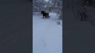Лавров З Путіним Кудись Помчали