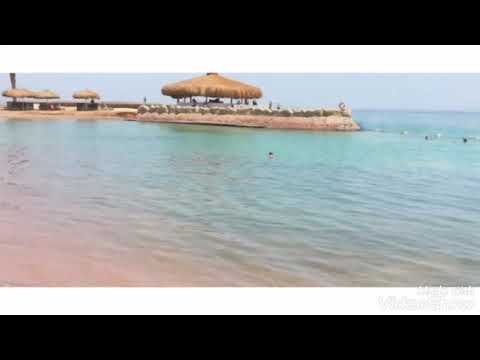 كوكب الصعيد تسلم الشده علشان تبين الرجال