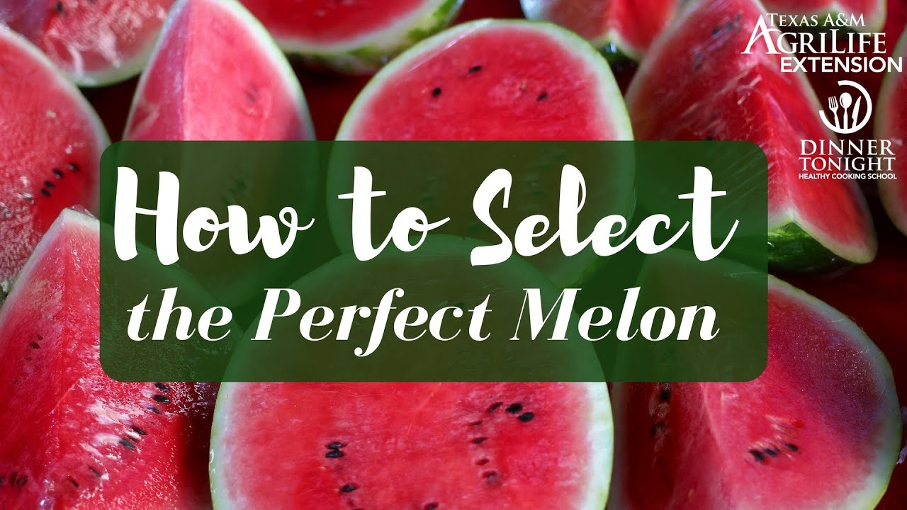 How to Select the Perfect Melon YouTube