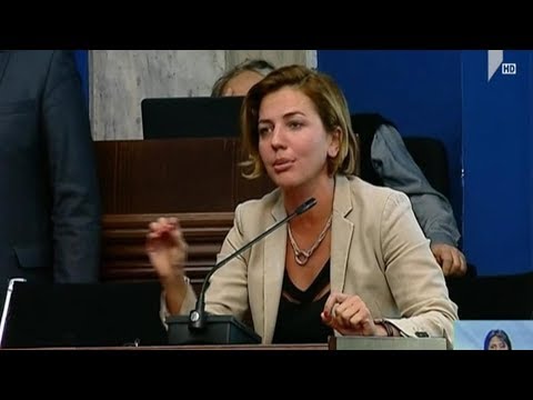 მოსამართლე პაატა სილაგაძე დეპუტატების შეკითხვებს პასუხობს