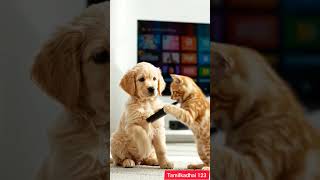 Who turned off the TV? 😳📺 | Funny Puppy Kitten Shorts