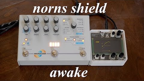 Norns Shield and Hologram Microcosm Ambient Awake App