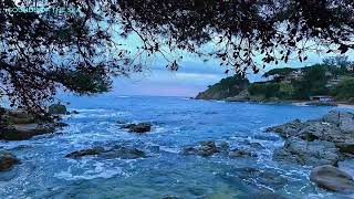 Echoes of Tranquility: Sunset Serenade by the Rocky Shores by Sounds of the Sea 1,444 views 1 month ago 20 minutes
