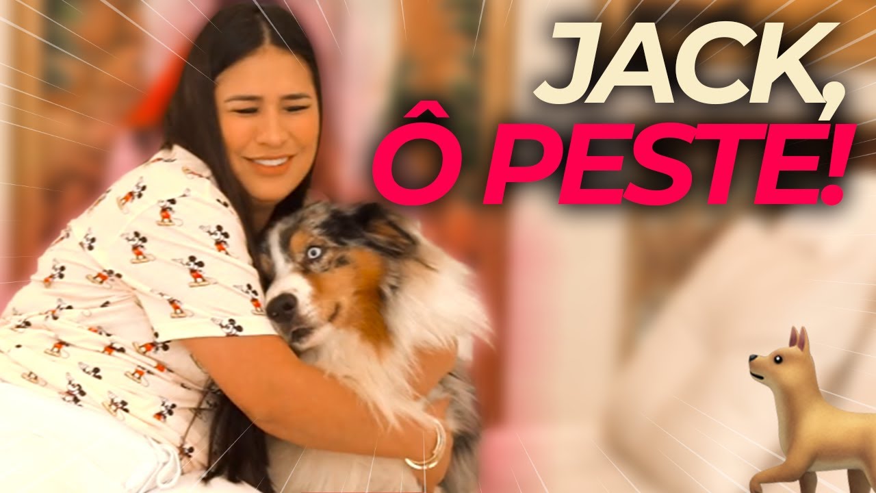 MEU CACHORRO NÃO ME ESCUTA!