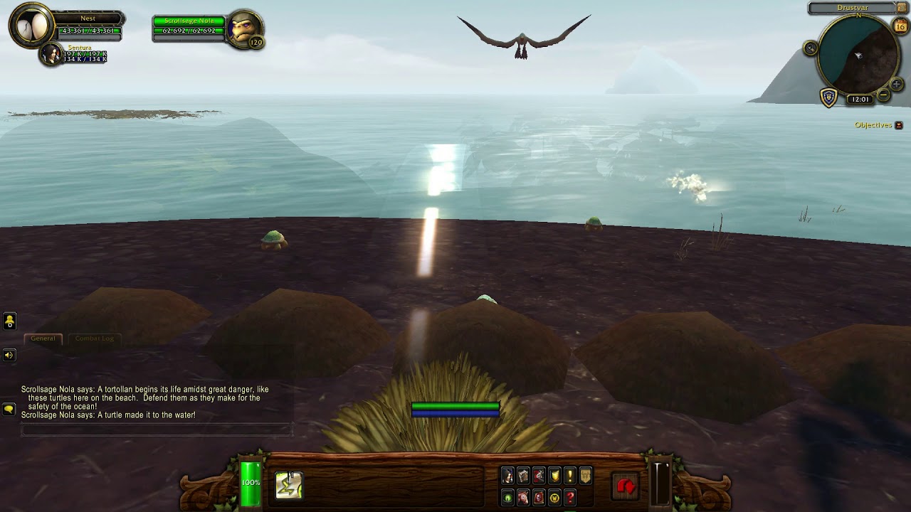 Beachhead World Quest BFA