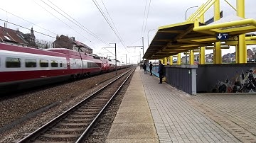Dubbele Thalys komen door station Ruisbroek