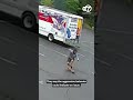 Unknown animal attacks 3 people in 36 hours in New Hampshire
