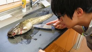 天然なまずの腹からとんでもない生物が出てきた。【閲覧注意】