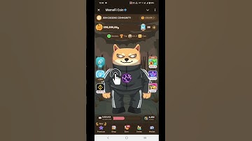 Memefi Secret Combo Today | Memefi Daily Combo #shorts #memefidailycombo #memefi #trending