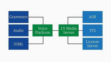 Speech Application Components - LumenVox Developer Network Training