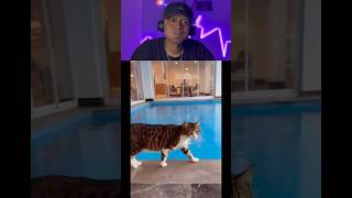 Try Not Laugh 548 😅